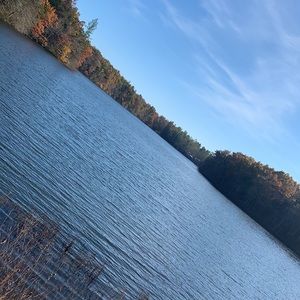 Meet your Posher, Josie